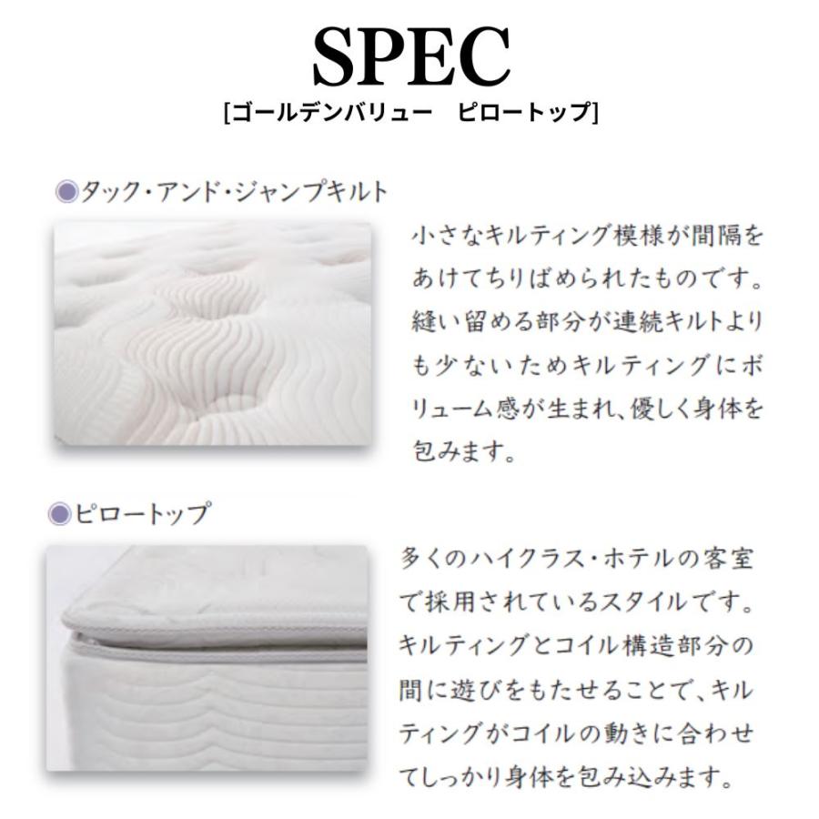 SIMMONS（シモンズ） 開梱設置付き AA21221 6.5インチ クイーンサイズ