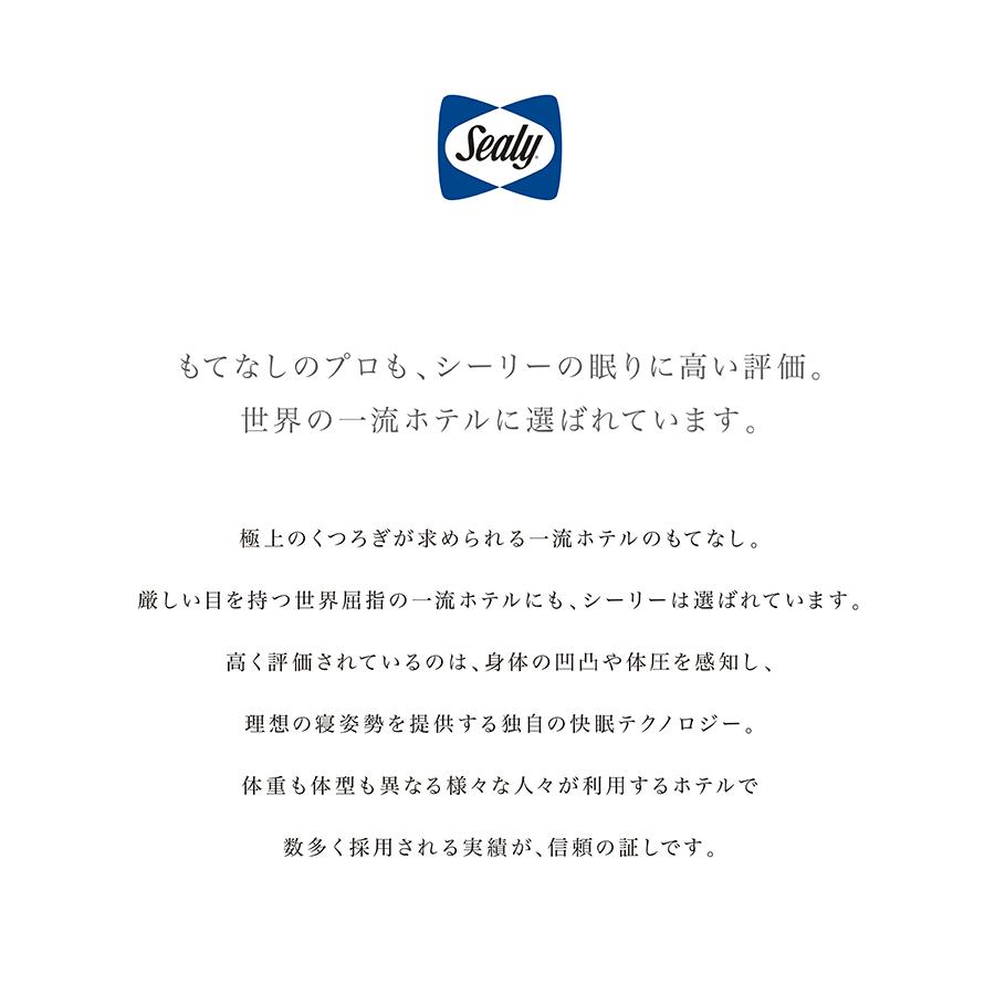 Sealy（シーリー） 枕 シーリーベッド ソロテックスピロー40 ソロ