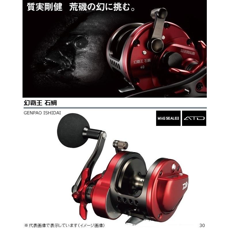 DAIWA（ダイワ） リール 幻覇王 石鯛 30 両軸リール : 釣具の