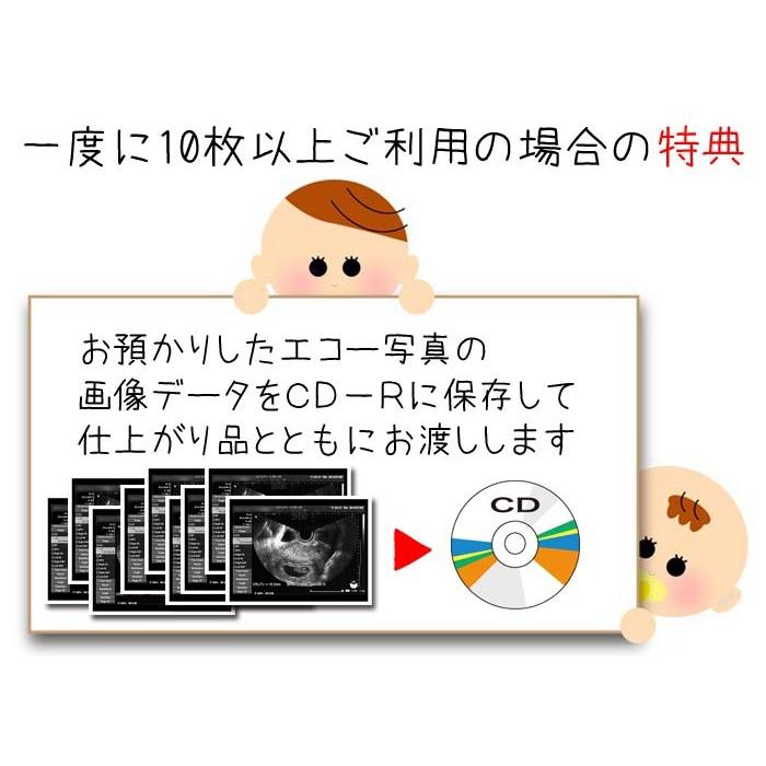 エコー写真 複製 プリント 長期保存用プリント エコー 写真保存 : 写真