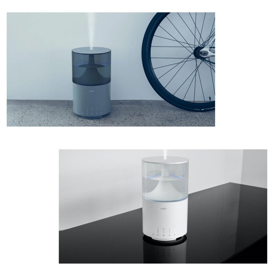 cado（カドー） 【公式ストア限定2年保証】 STEM 350 加湿器 卓上 11畳