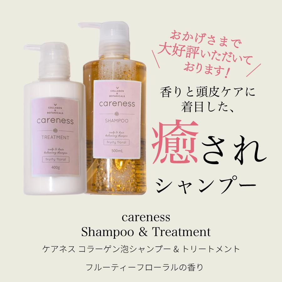 公式 ケアネス careness 美容室専売 シャンプー トリートメント 大