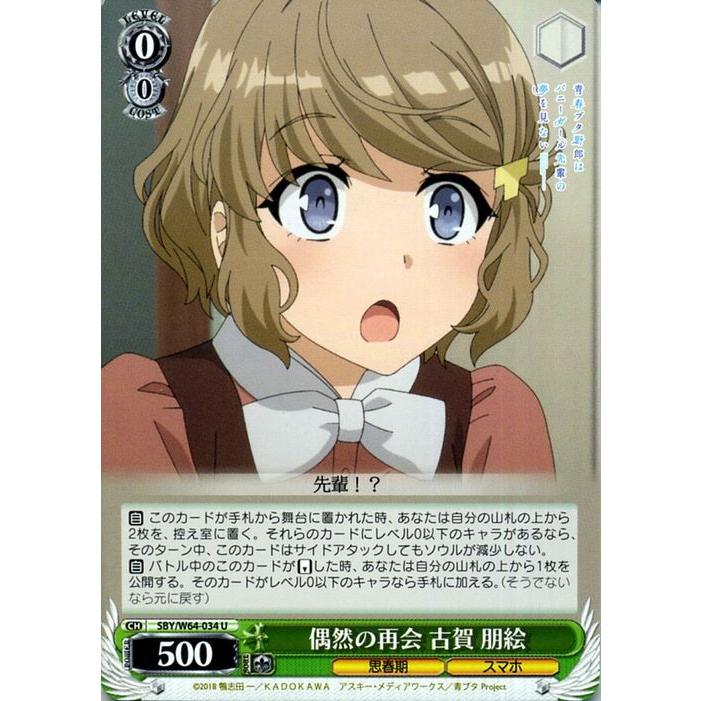 ヴァイスシュヴァルツ 青春ブタ野郎はバニーガール先輩の夢を見ない