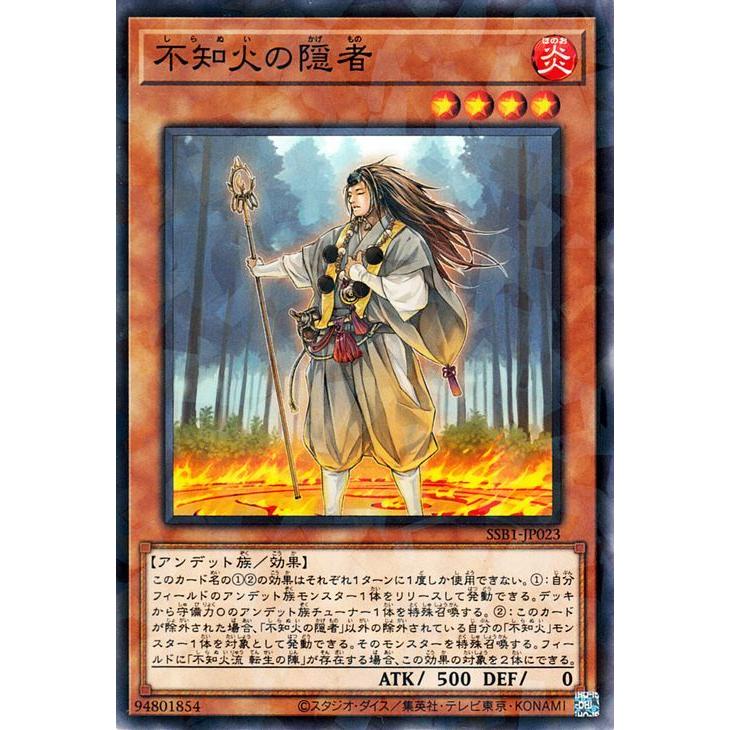遊戯王オフィシャルカードゲーム デュエルモンスターズ 遊戯王カード