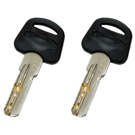 BRIDGESTONE（ブリヂストン） スペアキー 合鍵 2個セット 自転車 SPK