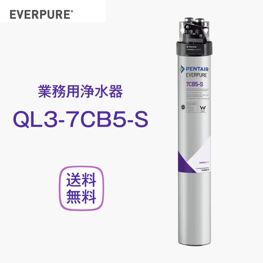 エバーピュア QL3-7CB5-S 浄水器 業務用 フィルターヘッド付 : 厨房