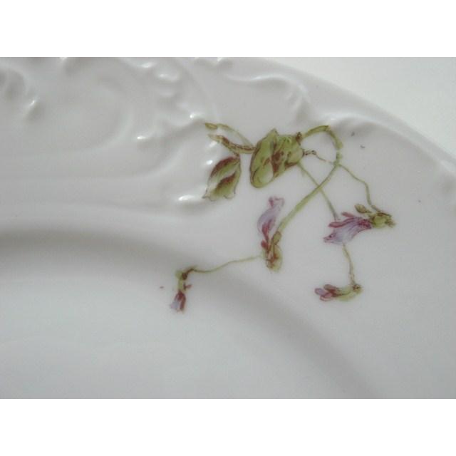 アビランド プレート スミレ C フランス アンティーク リモージュ