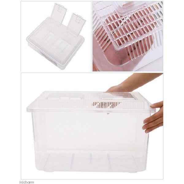 プラケース 飼育容器 特大 クリア（幅43×奥行き34×高さ26cm