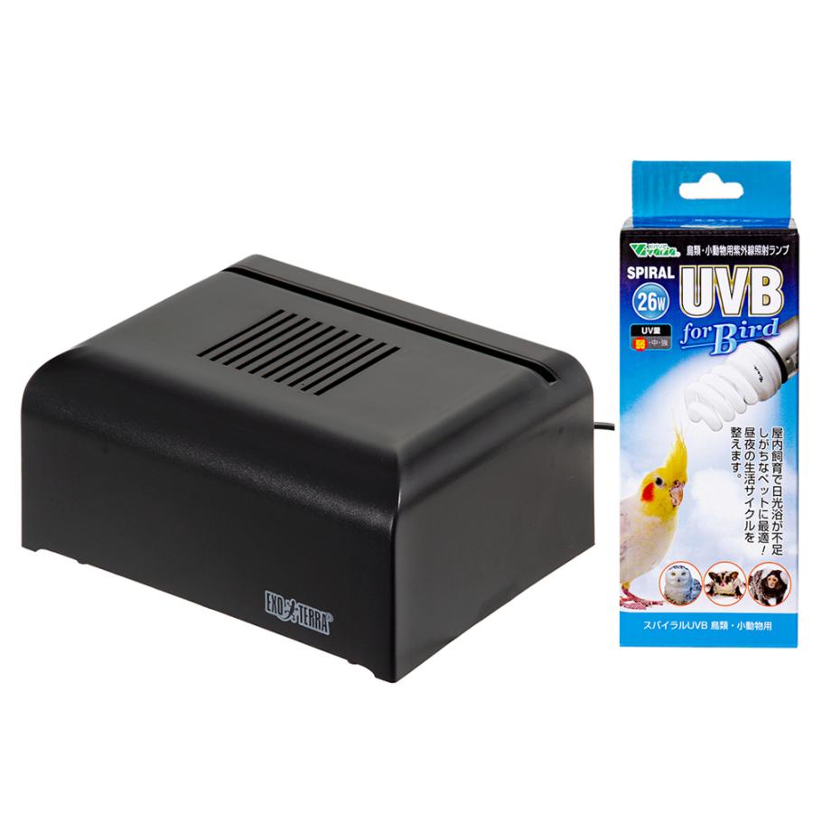 チャーム（charm） GEX エキゾテラ コンパクトトップナノ 鳥の