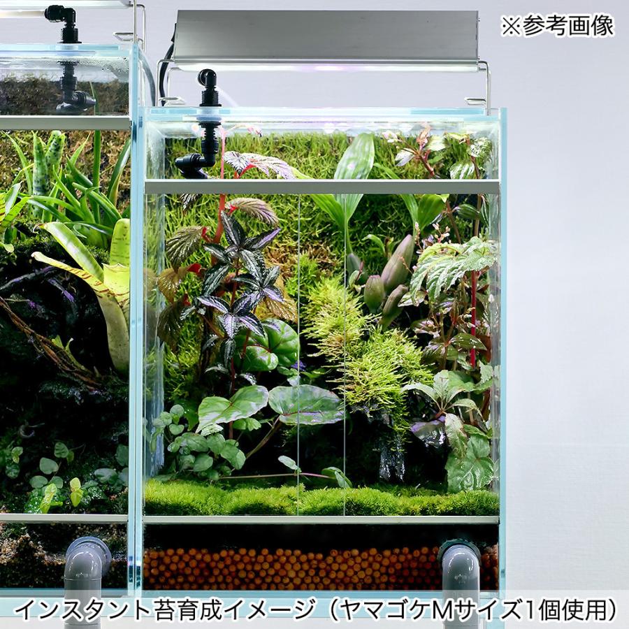 Leaf Corp インスタント苔 ヤマゴケM 外径14cm×26cm ドライ