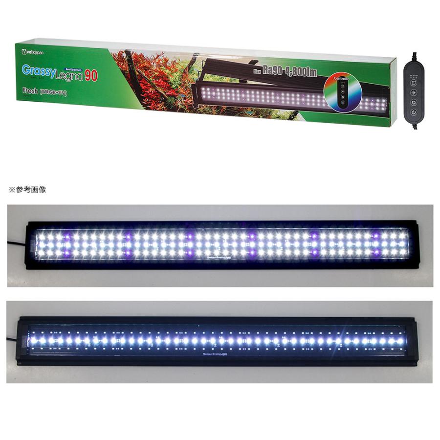 volxjapan（ボルクスジャパン） Grassy Legna 90