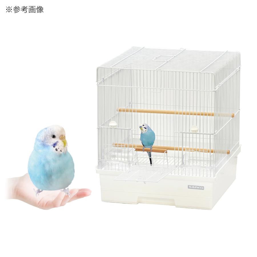 三晃商会 鳥かご 鳥 ケージ バードキャビン 37 小型インコ 中型