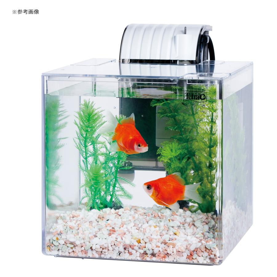 Tetra（テトラ） おさかな飼育 静かなセット PL−17SF 17×23