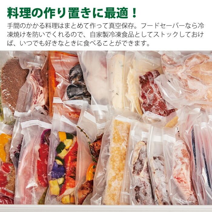 フードセーバー FM2000 真空パック 食品 スターターセット 真空保存
