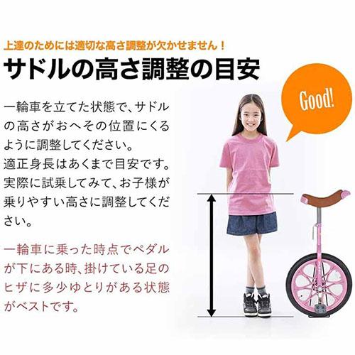 21Technology 21テクノロジー 一輪車 18インチ IR180 パープル FUNN