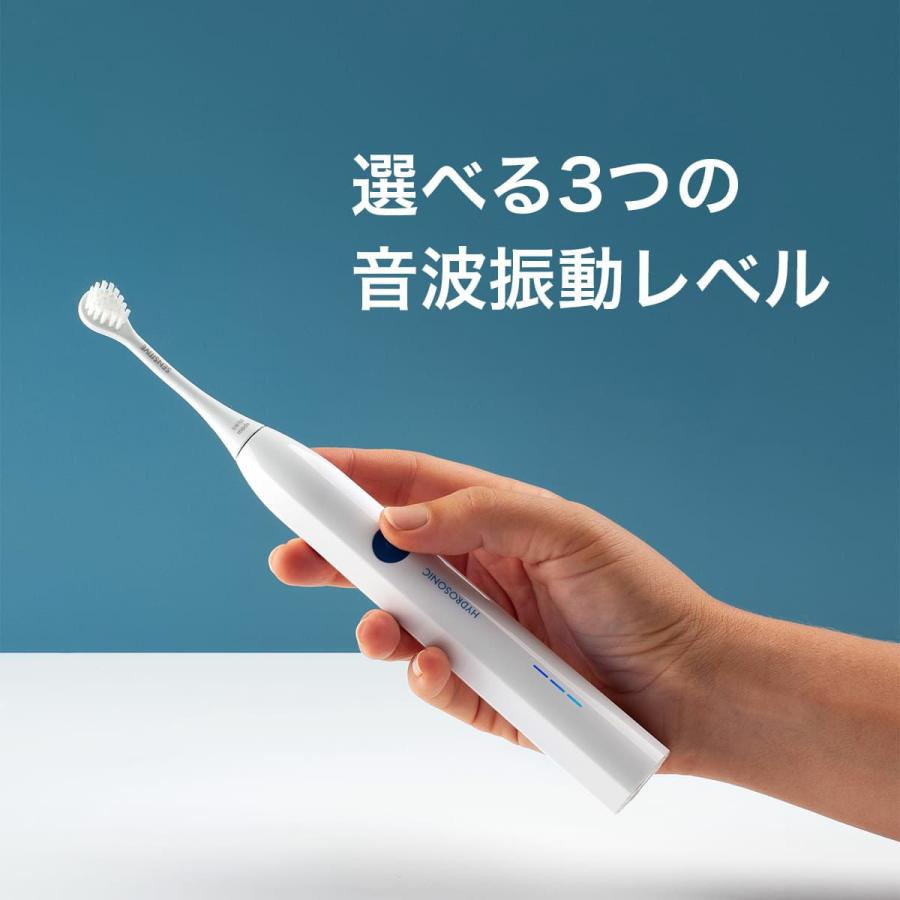 クラプロックス 音波式電動歯ブラシ ハイドロソニックイージー 電動