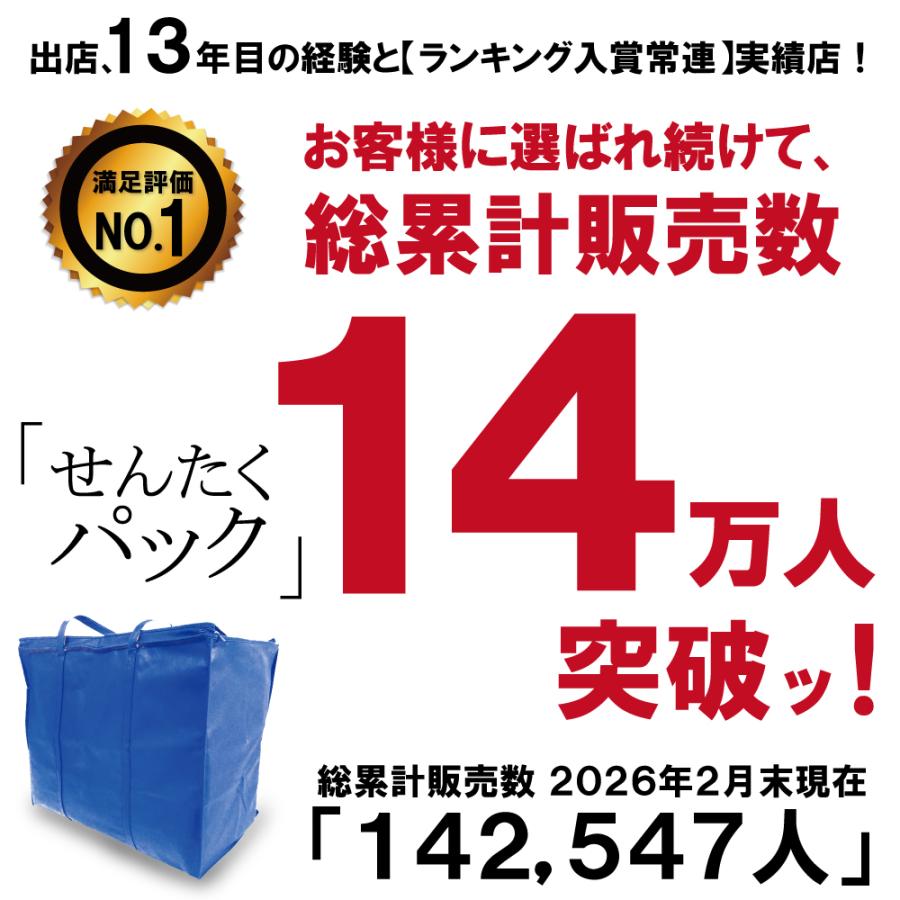 クリーニング 宅配 保管 15点まで 詰め放題 ダウン クレス 宅配
