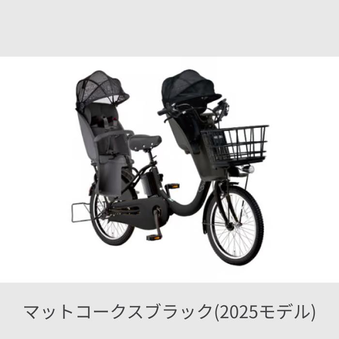 Panasonic（パナソニック） 子供乗せ自転車 20インチ 3人乗り用