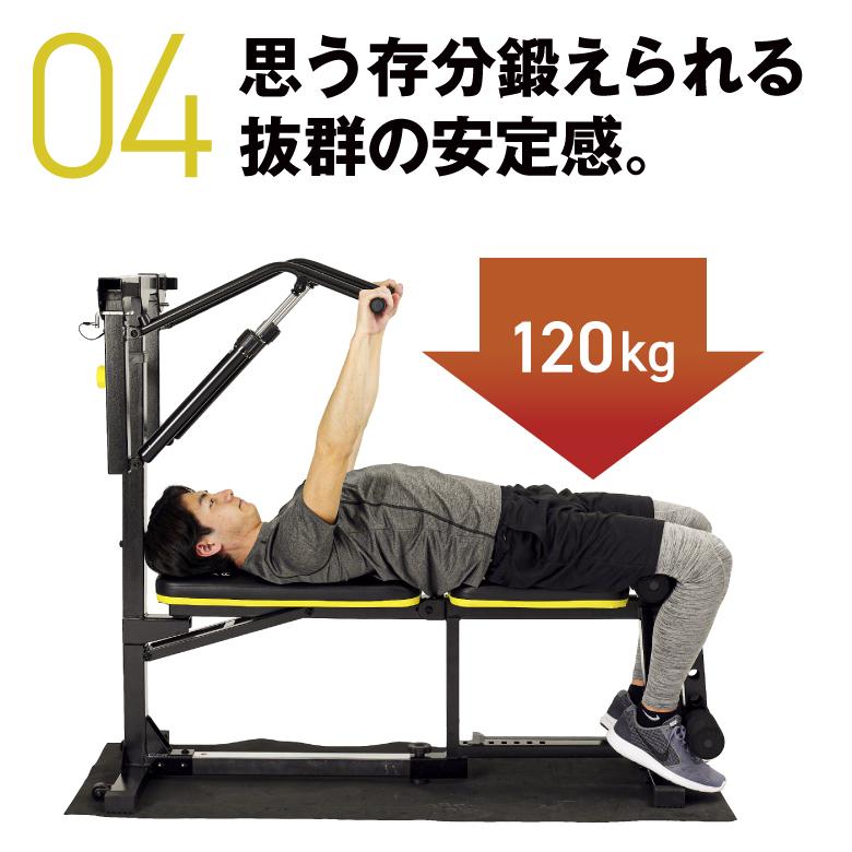 ALINCO（アルインコ） マルチワークアウトジム FAG2022 フィットネス