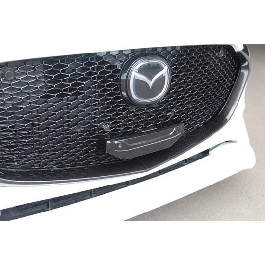 ガレージベリー Vary」MAZDA3（BPFP）FAST BACK用ナンバーステー（塗装