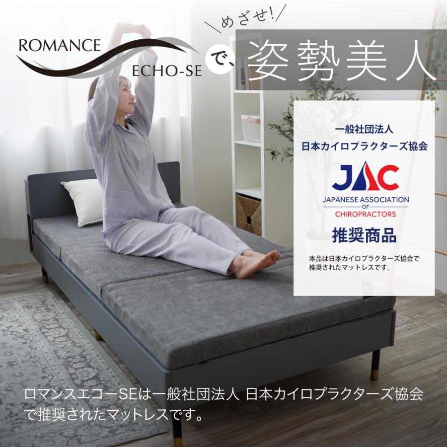 ロマンス小杉 ロマンスエコーSE 2025年新モデル マットレス シングル