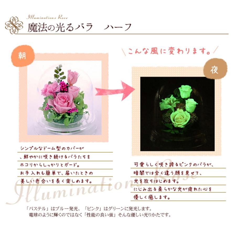アートフォーシーズン プリザーブドフラワー 花 ギフト 光る バラ 誕生