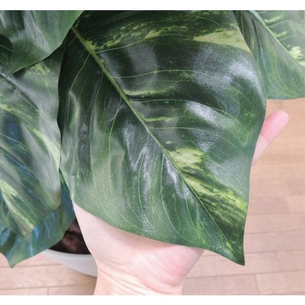 大きな葉 ジャイアント ポトス タワー 180cm (インテリア グリーン