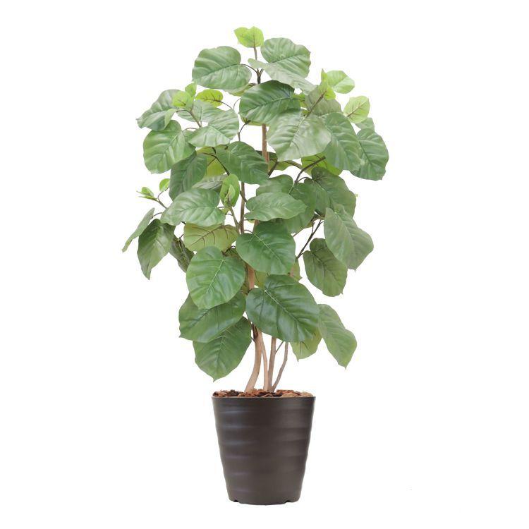 ウンベラータ 株立ち 180cm (フェイクグリーン リアル 本物 そっくり