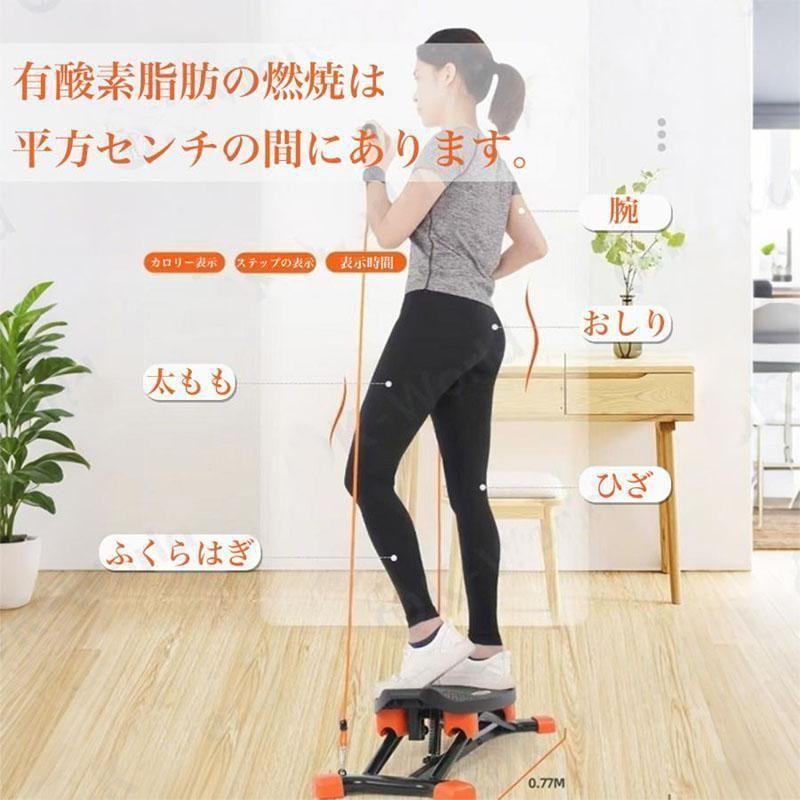 レッグトレーニング スキーマシン レッグマシン ダイエット ヒップ