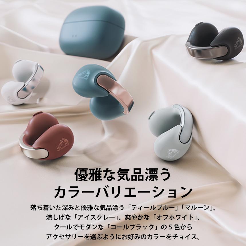 Victor（ビクター） HA-NP1T-T JVCケンウッド ワイヤレスイヤホン 耳