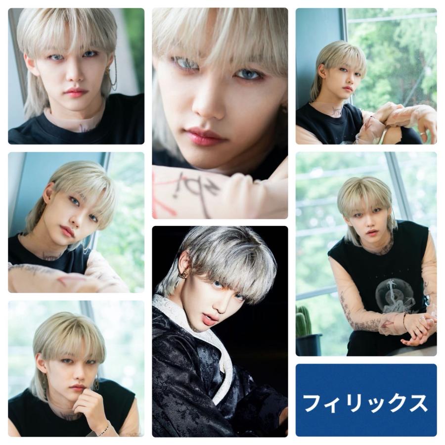 フィリックス Straykids ストレイキッズ スキズ ポストカードセット