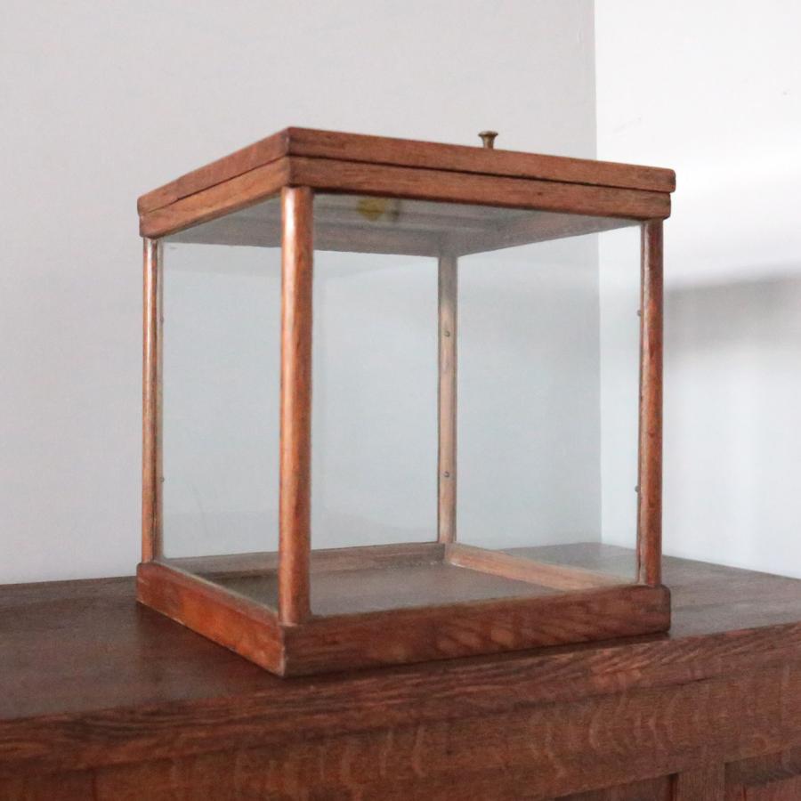 ショーケース ディスプレイケース コレクションボード ガラスケース