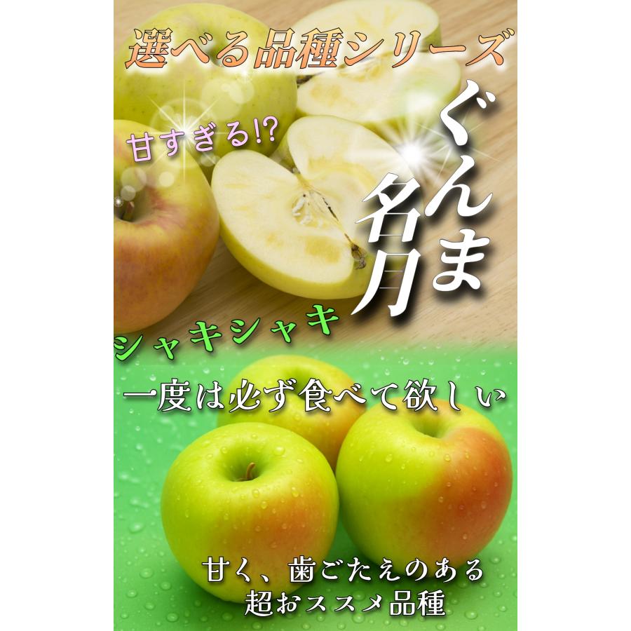 2026年10月予約 【光センサー選果保証】 高糖度 青森県産 りんご