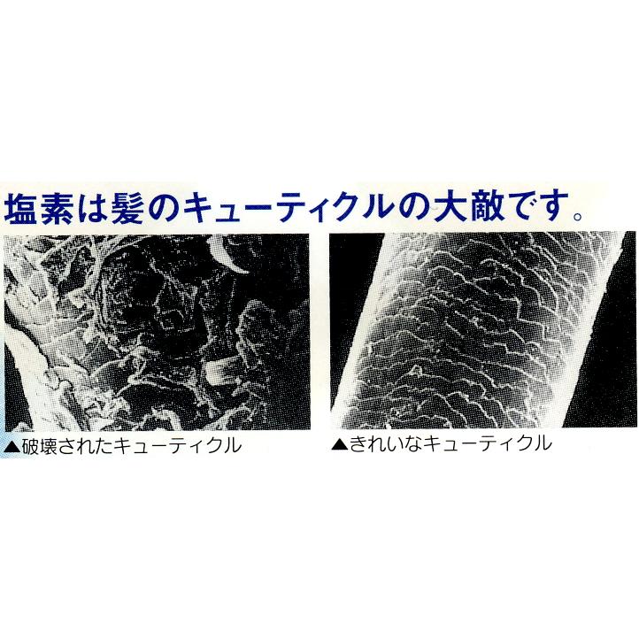 ミネラルシャワー（Mineral shower） : 浄水器電解還元水専門店