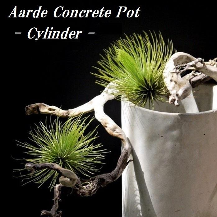 植木鉢 おしゃれ セメント コンクリシリンダーM 14cm 4.5号 穴あり