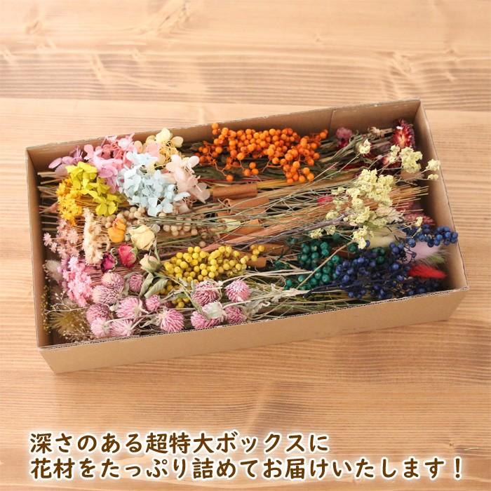 超特大ボックス】 カラフル 花材セット [ ハーバリウム プリザーブド