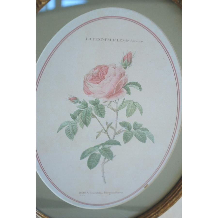 ルドゥーテ 薔薇の額絵 壁掛け リボン額縁 可愛い アンティーク風