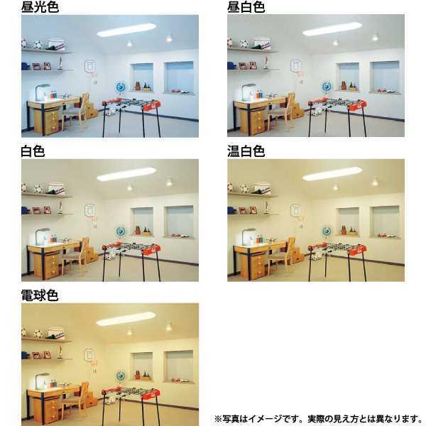 DAIKO（ダイコー） DDL4971WWG 大光電機 ダウンライト 埋込穴Φ100 白熱