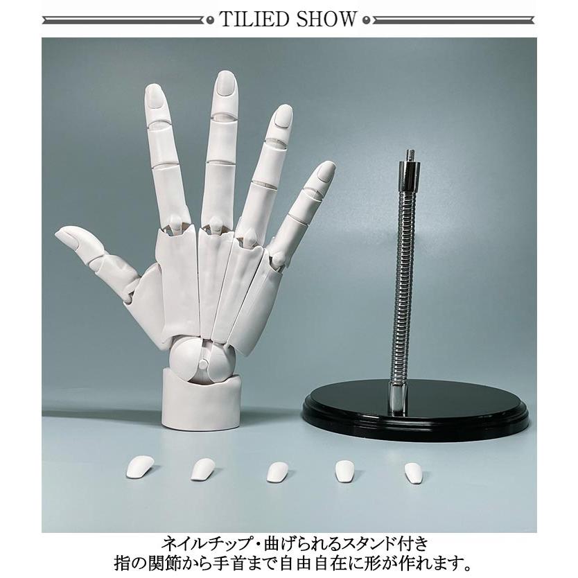 R 1/1 右手 左手 可動式 ネイルチップ付き スキンカラー ハンドモデル