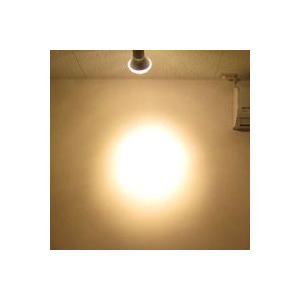 Panasonic（パナソニック） ハイビーム電球 散光形（フラッド