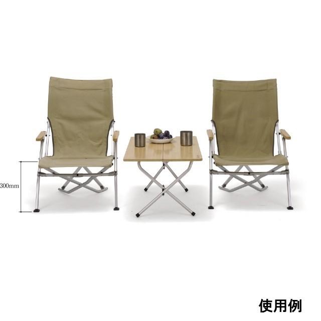 snow peak（スノーピーク） ローチェア30 ブラウン LV-091BR キャンプ