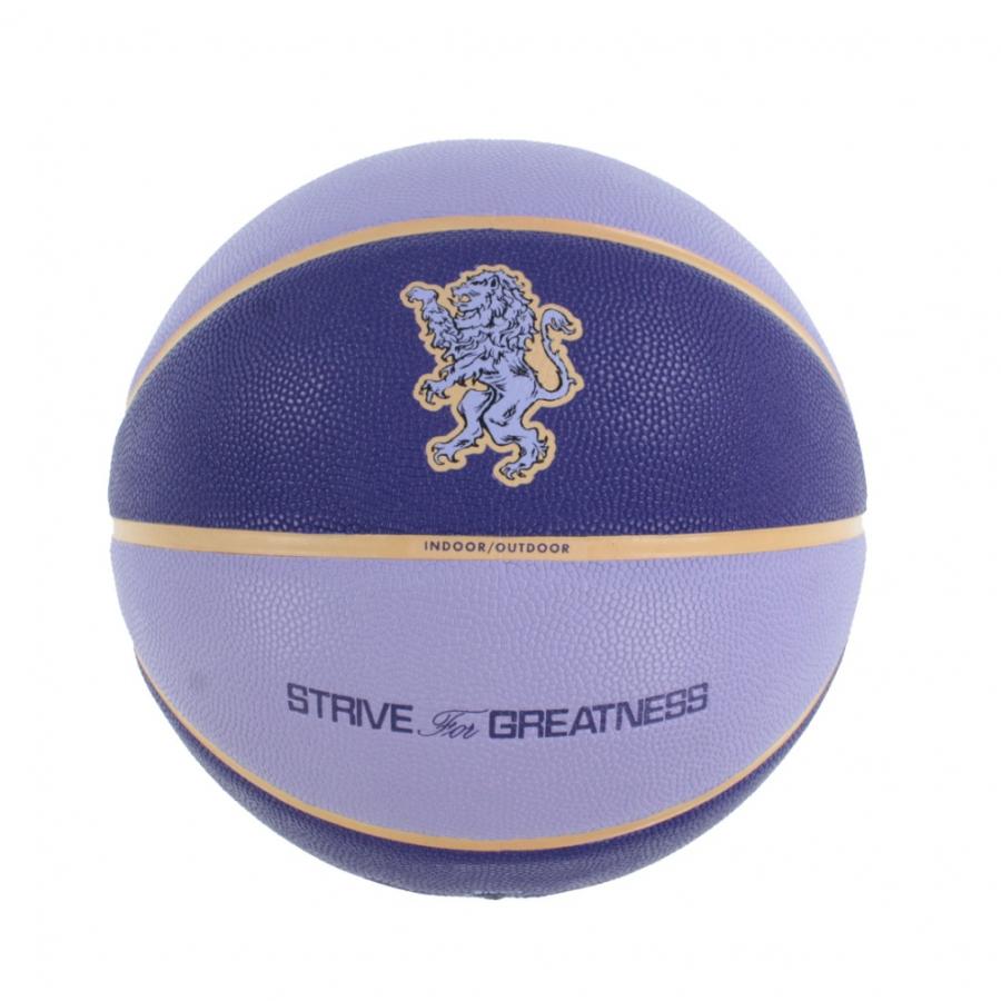 NIKE（ナイキ） オールコート 2.0 レブロン BS3053-509