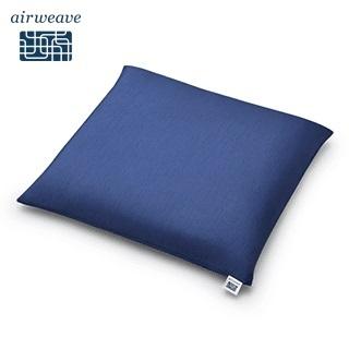 エアウィーヴ（airweave） 座布団 銘仙判 クッション ビッククッション