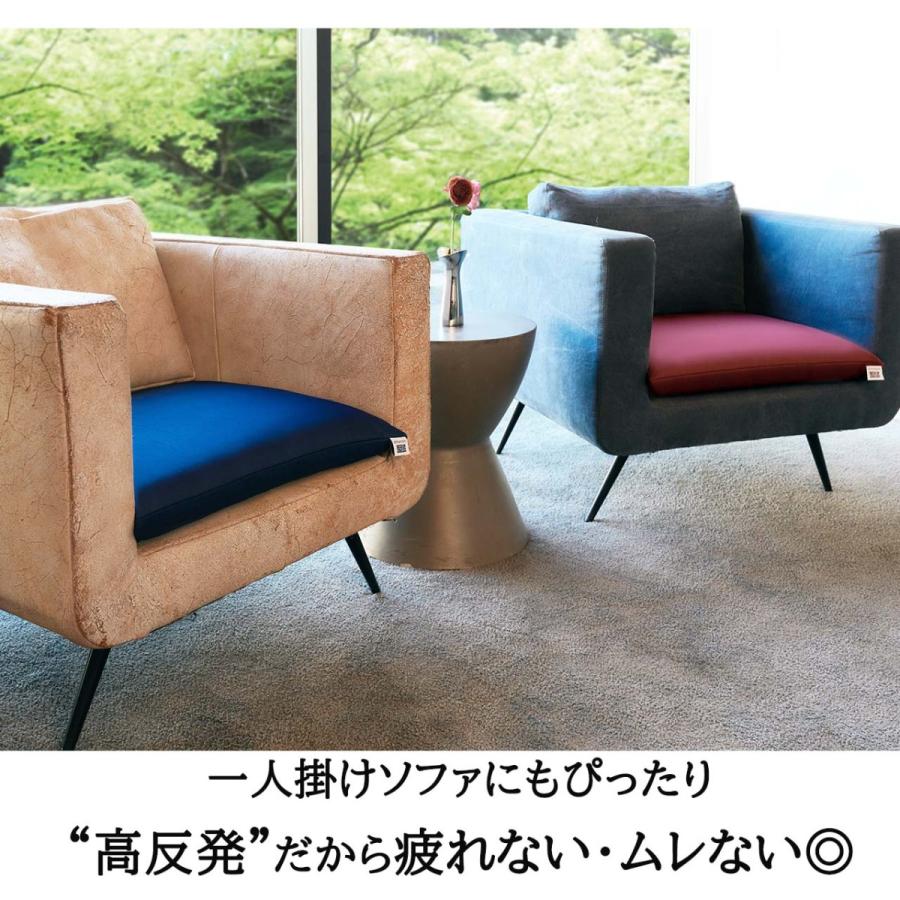 エアウィーヴ（airweave） 座布団 銘仙判 クッション ビッククッション
