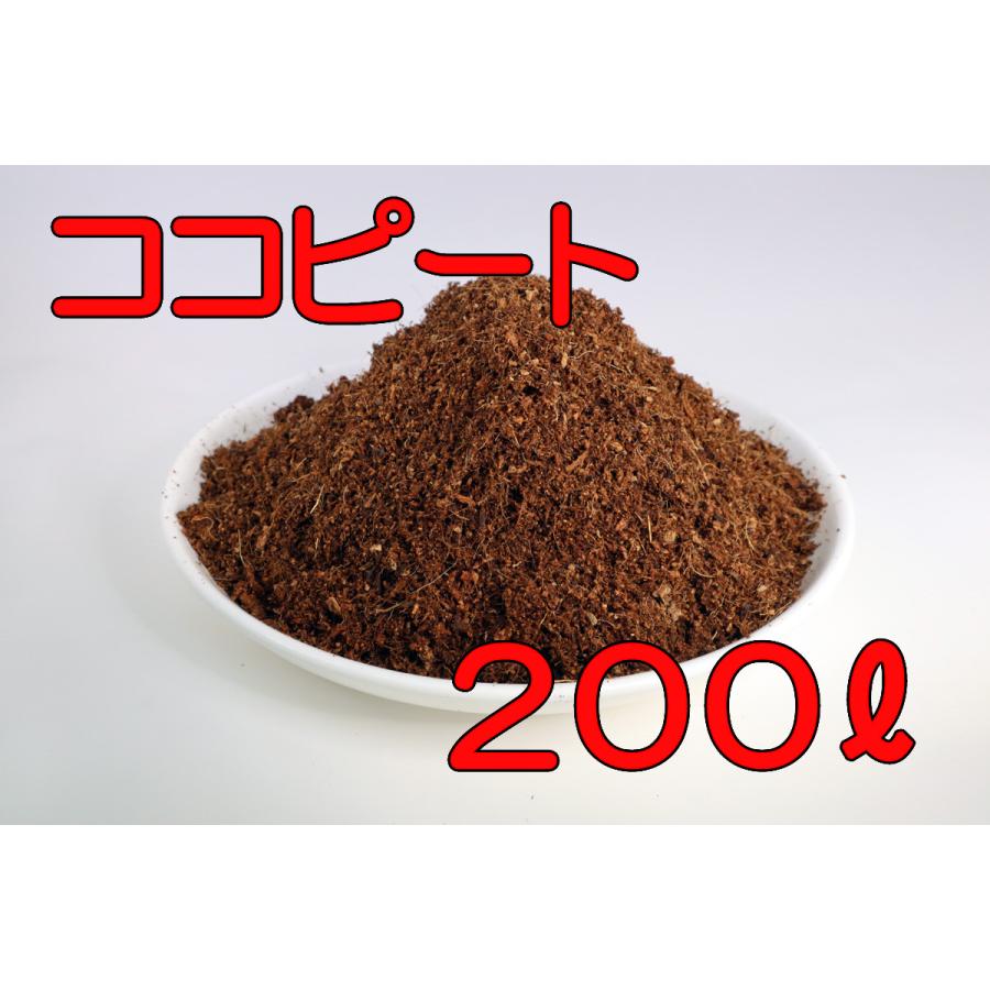 ココナッツピート 200L : AICHIメーデル - 通販 - Yahoo!ショッピング