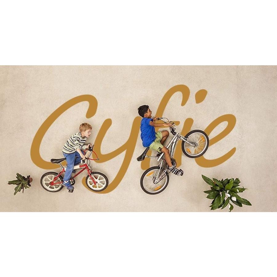 自転車 16インチ 子供用自転車 学齢児童 Cyfie グリーン 鷹さん 補助輪