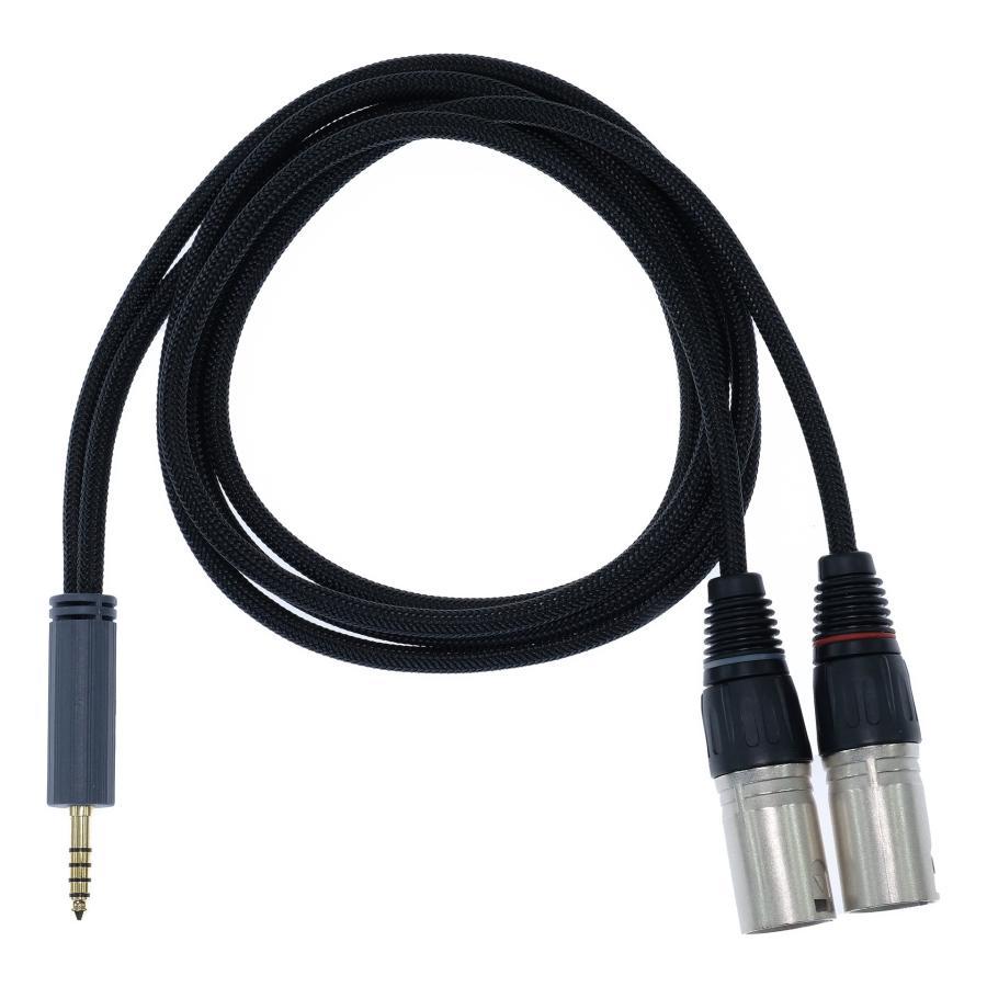 iFi audio（アイファイオーディオ） iFi Audio 4.4 to XLR cable SE