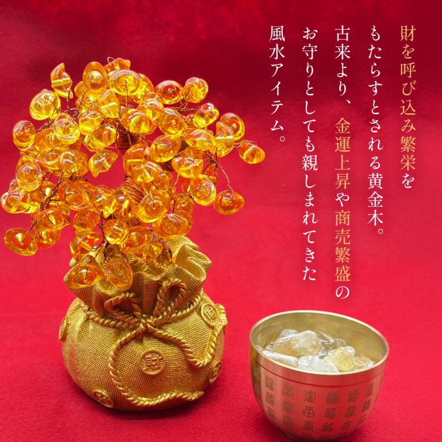 風水 黄金木 招財樹 金のなる木 黄水晶 シトリン 風水アイテム 金運