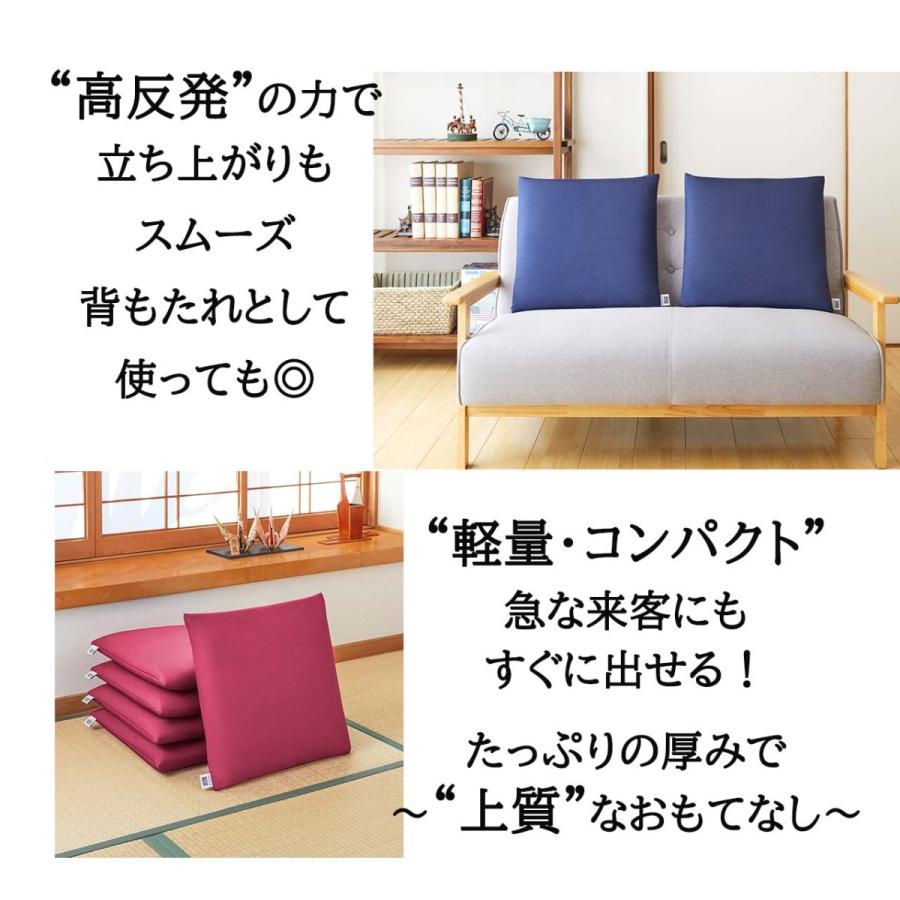 エアウィーヴ（airweave） 座布団 ギフトBOX仕様 ネイビー ワイン