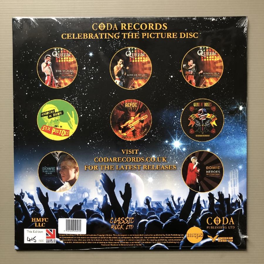 未開封新品 入手困難 セックス・ピストルズ 2021年 LPピクチャー